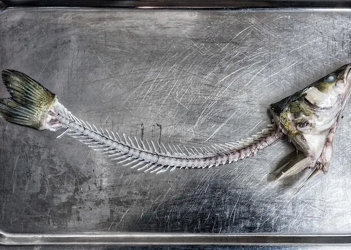 Buergerbraeu Отель