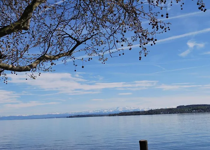 Buergerbraeu Отель